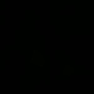 Meet your Posher, Dylon